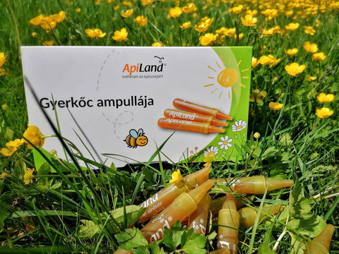 GYERKŐC AMPULLÁJA - A GYERMEKEK IMMUNITÁSÁNAK, MEMÓRIÁJÁNAK ÉS VITALITÁSÁNAK A SZÖVETSÉGESE