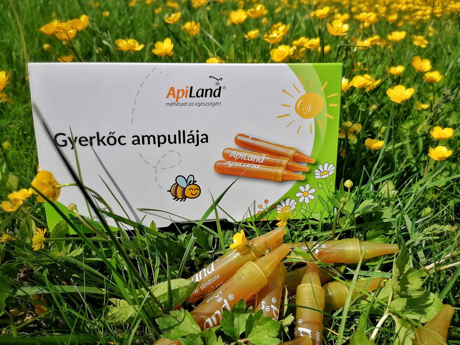 GYERKŐC AMPULLÁJA - A GYERMEKEK IMMUNITÁSÁNAK, MEMÓRIÁJÁNAK ÉS VITALITÁSÁNAK A SZÖVETSÉGESE